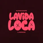 Read more about the article Sarkodie & Lasmid – Lavida Loca