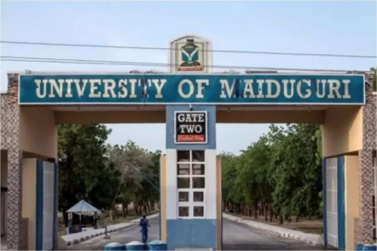 Read more about the article Tinubu Renames University Of Maiduguri After Buhari