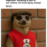 Naira Spraying: EFCC Sends Gentle Reminder To Nigerians