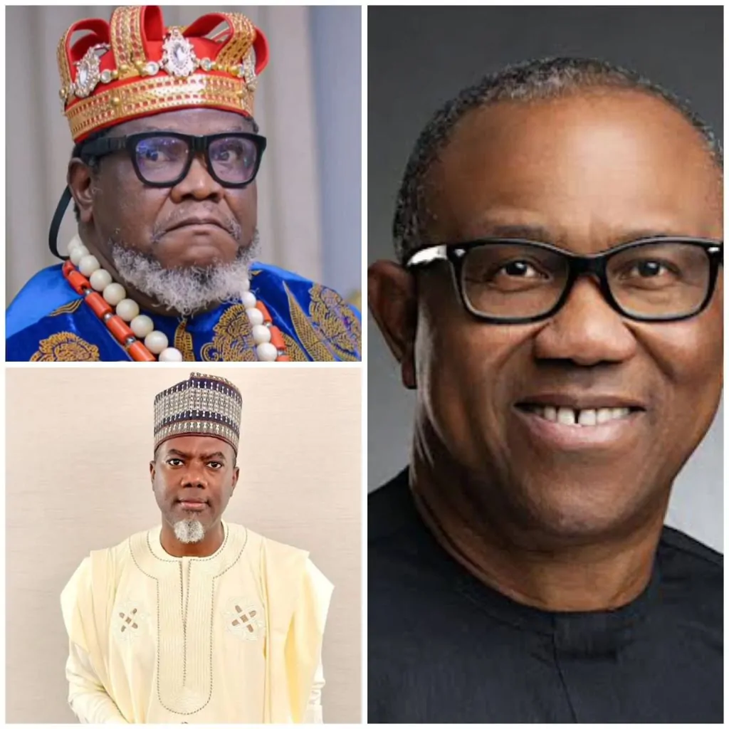 Read more about the article Accepting The Job To Demarket Peter Obi Online Is The Most Dangerous Job Ever 