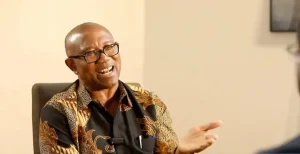 Read more about the article The North Will Celebrate Me If I Am President- Peter Obi
