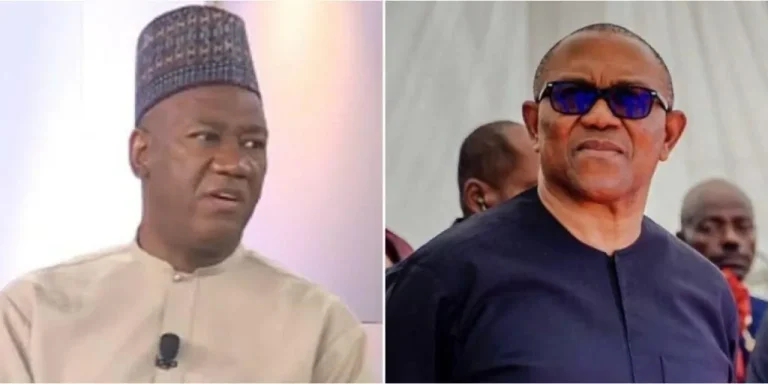 Read more about the article 2027: “Peter Obi Should Not Accept Coalition’s VP Slot, He Deserves Presidency” – Datti Baba-Ahmed