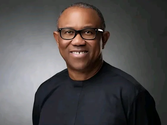 Read more about the article Peter Obi Recounts Rejecting ₦120M House Gift, ₦20M Birthday Party