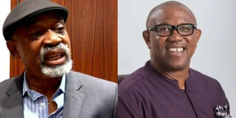 Read more about the article I’m Not Like Soludo; Peter Obi Did Well As Anambra Governor – Dr Chris Ngige