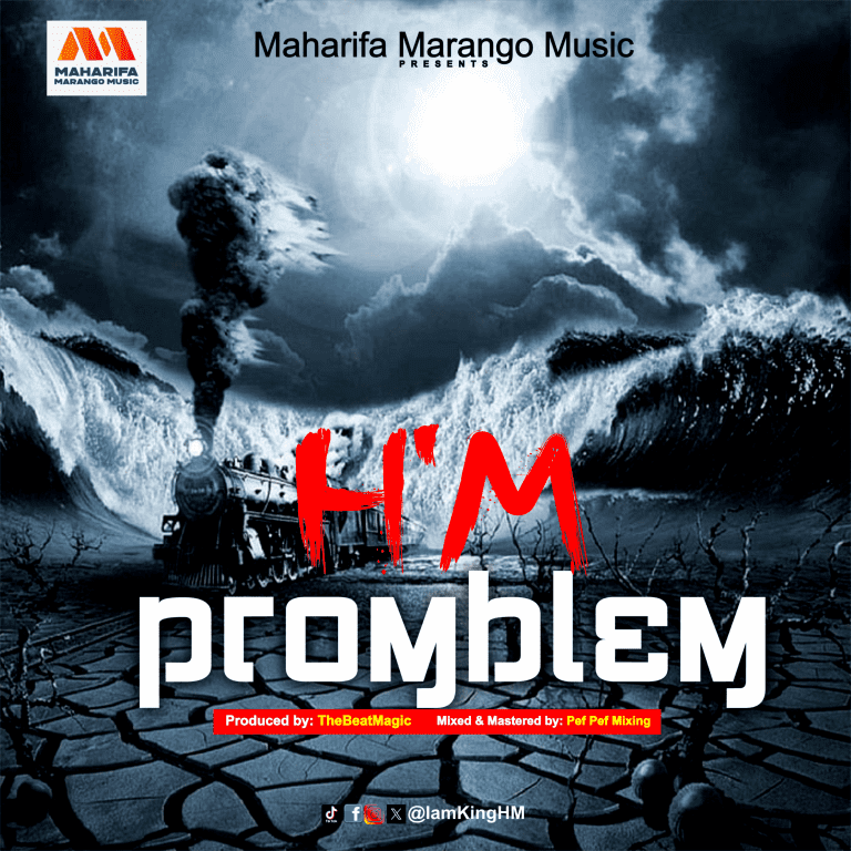 Read more about the article H’M – Problem (Prod. TheBeatMagic)