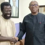 Read more about the article Obasanjo And Buhari’s 16 Years ‘Ruined’ Nigeria – Dele Farotimi Backs Peter Obi’s One-term Proposal