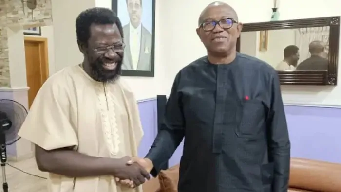 Read more about the article Obasanjo And Buhari’s 16 Years ‘Ruined’ Nigeria – Dele Farotimi Backs Peter Obi’s One-term Proposal