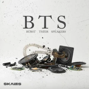 Read more about the article Skales – B.T.S (Burst Their Speakers)