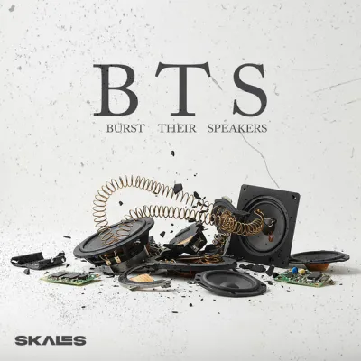 Read more about the article Skales – B.T.S (Burst Their Speakers)