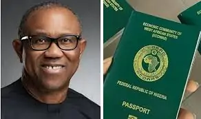 Read more about the article “Passport Fee Now Higher Than Minimum Wage” – Peter Obi Blasts FG