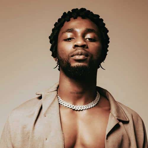 Read more about the article Omah Lay’s New Snippet Sparks Buzz: Is This The Next Big Hit?