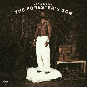 Read more about the article Iyanya – Bluewaters
