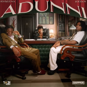 Read more about the article Rybeena Ft. Joeboy – Adunni