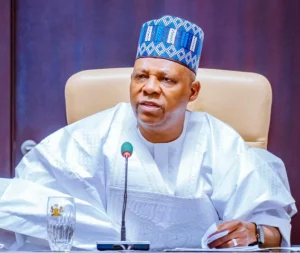 Read more about the article Hardship Will Soon Be Over, Shettima Tells Nigerians