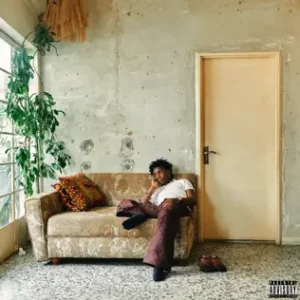 Read more about the article Bella Shmurda – Appraisal