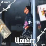 Read more about the article Download Music Mp3:- DJ Oboy B – Wonder