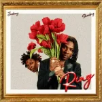 Read more about the article Joeboy Ft. Shoday – Ring