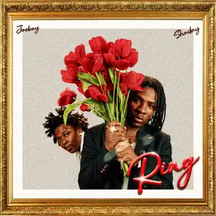 You are currently viewing Joeboy Ft. Shoday – Ring