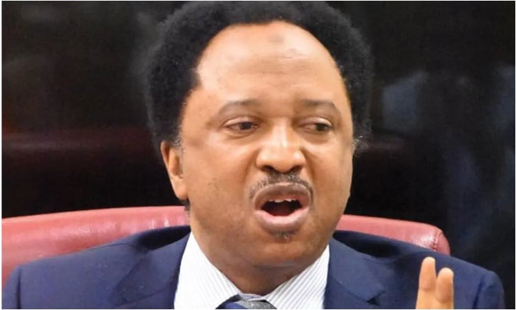 Read more about the article “80 Percent Of Every Administration’s Four-year Term Is Spent Preparing For Another Election” – Shehu Sani