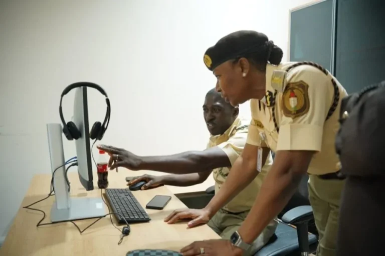 Read more about the article Nigerian Immigration To Go After Visa Overstayers As Amnesty Window Closes