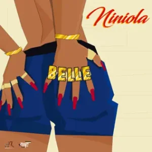 Read more about the article Niniola – Belle
