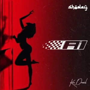 Read more about the article Shoday & Kizz Daniel – A1