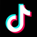 Read more about the article FG To regulate TikTok content, says platform should focus on skills not just entertainment