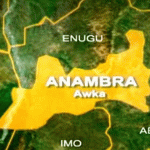 Read more about the article Anambra: INEC And Post-Soludo Guber Victory