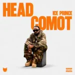 Read more about the article Ice Prince – Head Comot