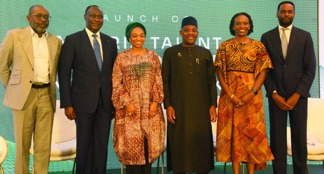Read more about the article Digital Skills: FG Launches Nigeria Talent Accelerator Network