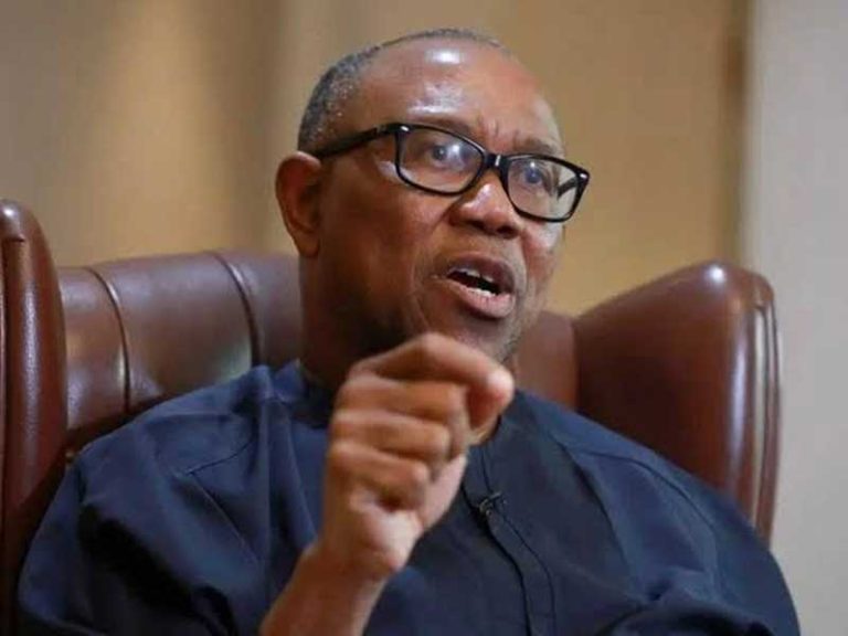Read more about the article Nigeria’s Entrepreneurial Future Hinges on Supporting Small Businesses – Peter Obi