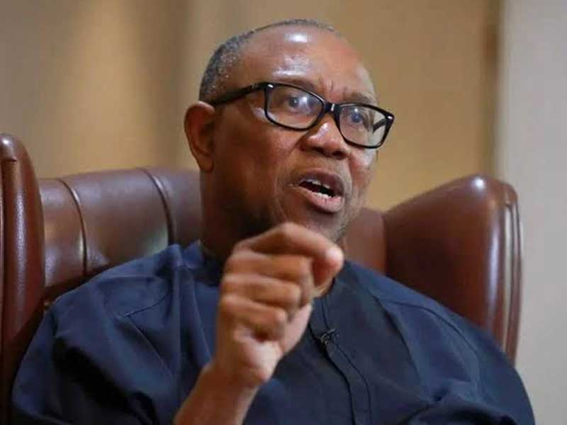 Read more about the article Nigeria’s Entrepreneurial Future Hinges on Supporting Small Businesses – Peter Obi