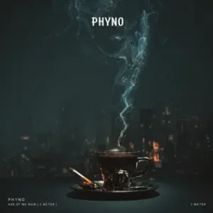 Read more about the article Phyno – Ask Of Me Now