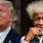 Read more about the article “Visas Are Privilege, Not A Right”: U.S. Govt Responds To Wole Soyinka’s Visa Revocation