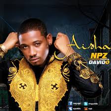 Read more about the article NPZ – Aisha Ft Davido