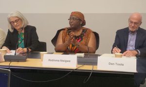 Read more about the article INEE Country Focal Person, Nwigwe, Calls For Urgent Support For Children Living In Emergency Situations