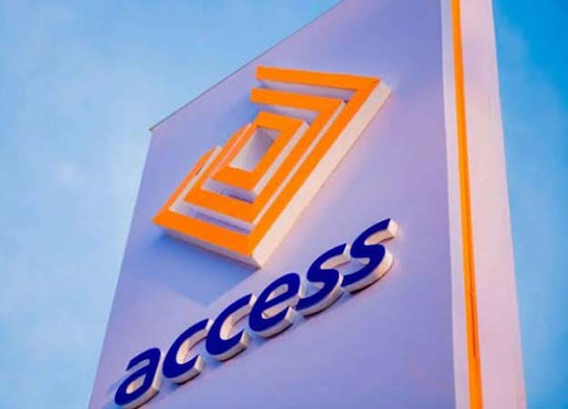Read more about the article Access Bank Champions Africa’s Payment Integration, Stresses Importance Of PAPSS