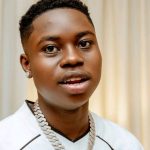 Read more about the article FRSC Moves To Prosecute TikToker Peller After Crash