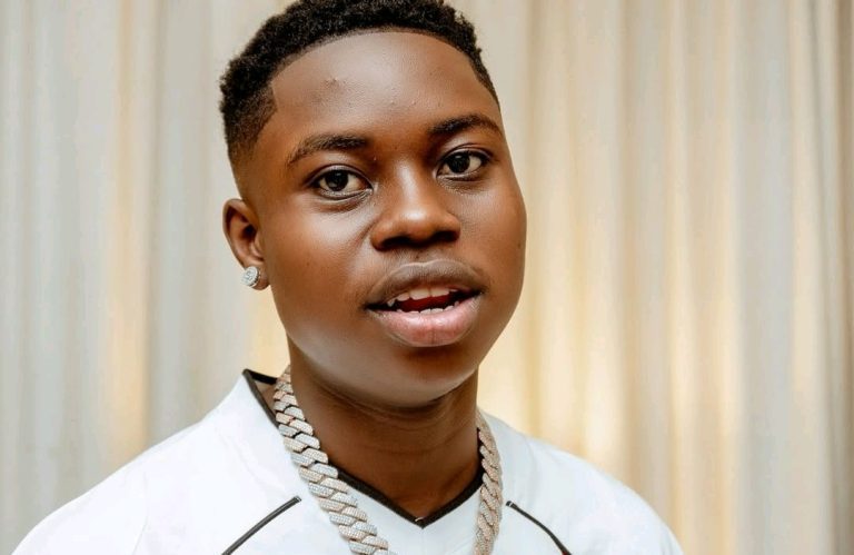 Read more about the article FRSC Moves To Prosecute TikToker Peller After Crash