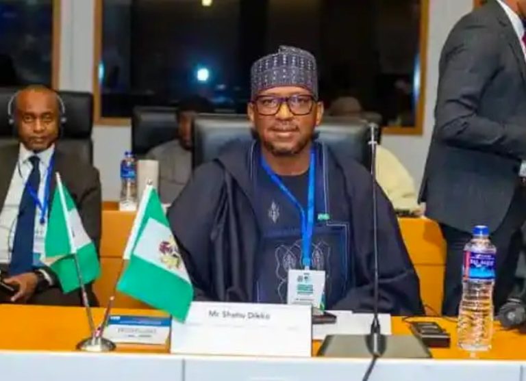 Read more about the article 2026 World Cup: NSC Confident As Nigeria Awaits FIFA Verdict On DR Congo Eligibility Case