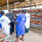 Read more about the article Zichis Agro-allied Completes Board Meeting Amid NGX Listing Plans