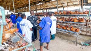 Read more about the article Zichis Agro-allied Completes Board Meeting Amid NGX Listing Plans