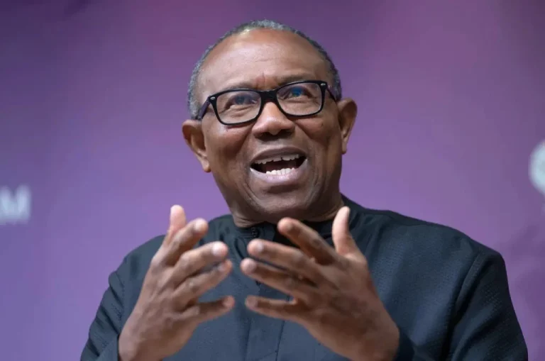 Read more about the article Prosperity Will Not Come By Taxing poverty – Peter Obi