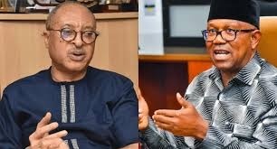 Read more about the article 2027: I Will Walk Away From Peter Obi If He Accepts To Be Someone’s Vice Presidential Candidate- Pat Utomi