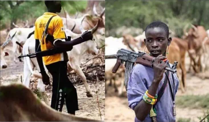 Read more about the article Police, CJTF Move In As Armed Herders Establish Camps In Benue