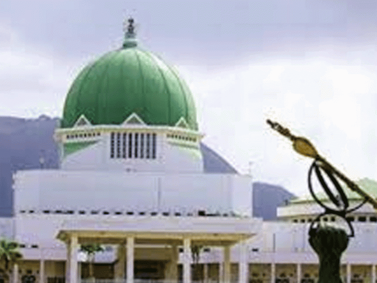 Read more about the article National Assembly Seeks First-line Charge for Solid Minerals as Capital Releases Hit Zero